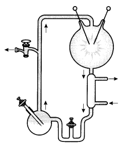 CBSE Sample Papers for Class 12 Biology Paper 1.2