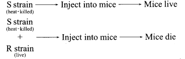 CBSE Sample Papers for Class 12 Biology Paper 1.9