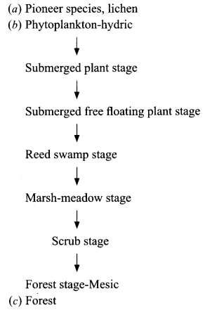 CBSE Sample Papers for Class 12 Biology Paper 2.11