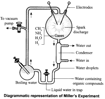 CBSE Sample Papers for Class 12 Biology Paper 2.9