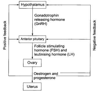 CBSE Sample Papers for Class 12 Biology Paper 3.1