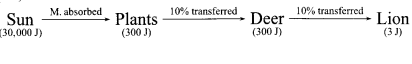 CBSE Sample Papers for Class 12 Biology Paper 3.6