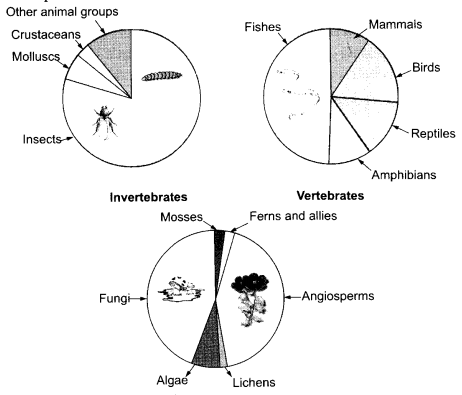 CBSE Sample Papers for Class 12 Biology Paper 4.3