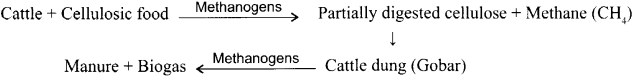 CBSE Sample Papers for Class 12 Biology Paper 7.3