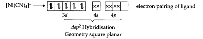 CBSE Sample Papers for Class 12 Chemistry Paper 1 Q.13.1