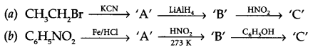 CBSE Sample Papers for Class 12 Chemistry Paper 2 Q.19.1