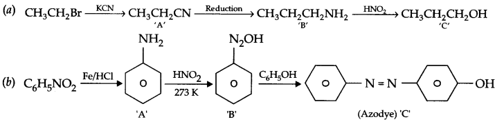 CBSE Sample Papers for Class 12 Chemistry Paper 2 Q.19.2