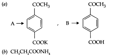 CBSE Sample Papers for Class 12 Chemistry Paper 2 Q.8.2