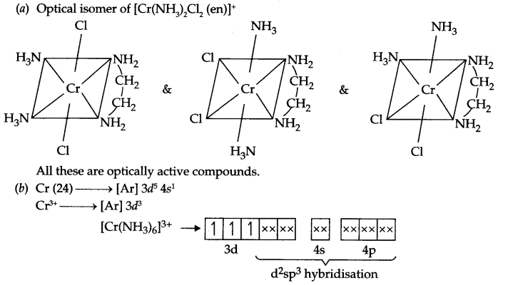 CBSE Sample Papers for Class 12 Chemistry Paper 3 Q.19.1