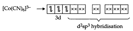 CBSE Sample Papers for Class 12 Chemistry Paper 3 Q.19.2