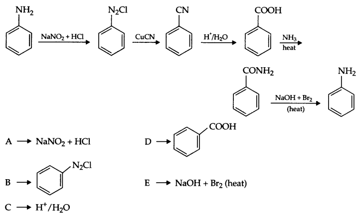 CBSE Sample Papers for Class 12 Chemistry Paper 3 Q.26.2