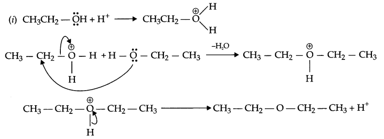 CBSE Sample Papers for Class 12 Chemistry Paper 5 Q.13.2