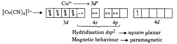 CBSE Sample Papers for Class 12 Chemistry Paper 5 Q.17.1