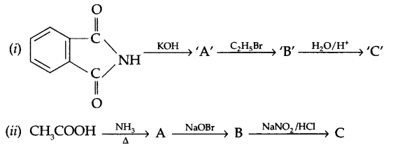 CBSE Sample Papers for Class 12 Chemistry Paper 5 Q.26.1