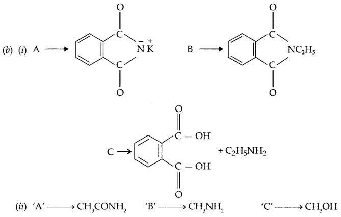 CBSE Sample Papers for Class 12 Chemistry Paper 5 Q.26.3