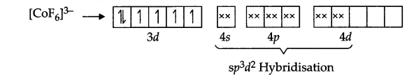 CBSE Sample Papers for Class 12 Chemistry Paper 6 Q.13.1