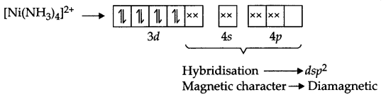 CBSE Sample Papers for Class 12 Chemistry Paper 6 Q.13.2