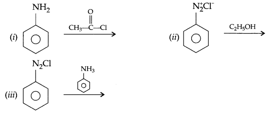 CBSE Sample Papers for Class 12 Chemistry Paper 6 Q.14.1