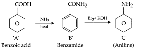 CBSE Sample Papers for Class 12 Chemistry Paper 7 Q.13