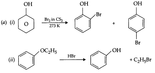 CBSE Sample Papers for Class 12 Chemistry Paper 7 Q.24.4