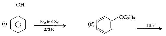 CBSE Sample Papers for Class 12 Chemistry Paper 7 Q.24