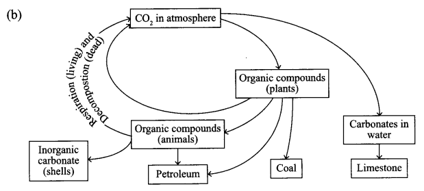 CBSE Sample Papers for Class 9 Science Paper 2 Q.20