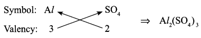 CBSE Sample Papers for Class 9 Science Paper 3 Q.15