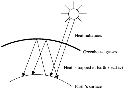 CBSE Sample Papers for Class 9 Science Paper 3 Q.20.2