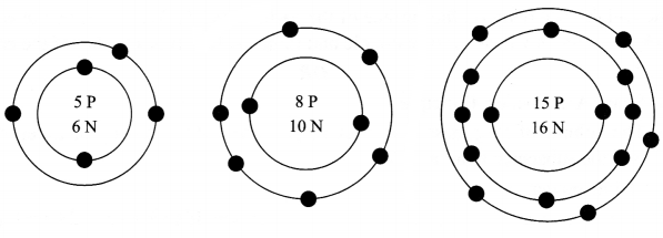 CBSE Sample Papers for Class 9 Science Paper 4 Q.6.1