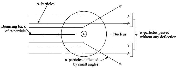 CBSE Sample Papers for Class 9 Science Paper 5 Q.21.1