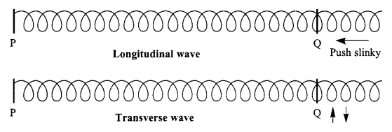 CBSE Sample Papers for Class 9 Science Paper 5 Q.25