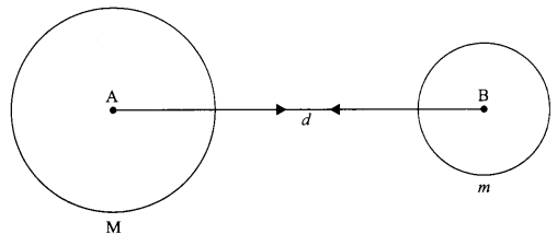 CBSE Sample Papers for Class 9 Science Paper 6 Q.21.1