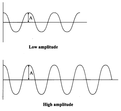 CBSE Sample Papers for Class 9 Science Paper 6 Q.25