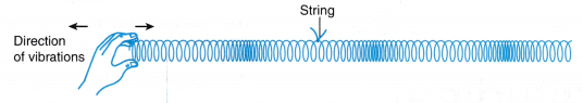 Classification Of Wave Motion 3