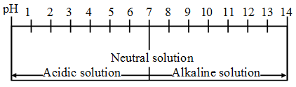 Concept of the pH Scale 1