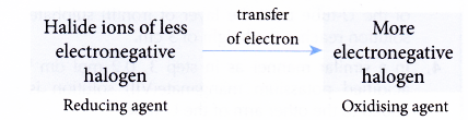 Displacement of Halogen From Halide Solution 2