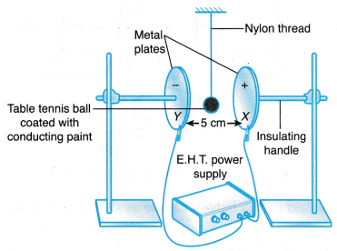 Effect of Electric Field on Objects Experiment 1