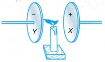 Effect of Electric Field on Objects Experiment 5