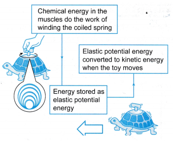 Elastic Potential Energy 1