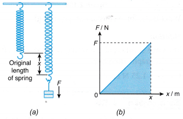 Elastic Potential Energy 2