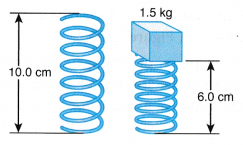 Elastic Potential Energy 9