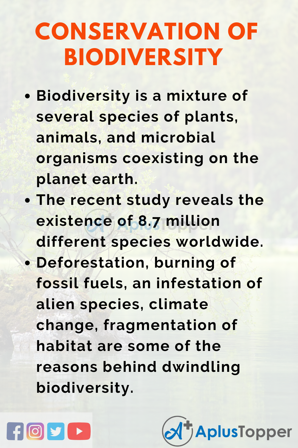 Essay about Conservation of Biodiversity