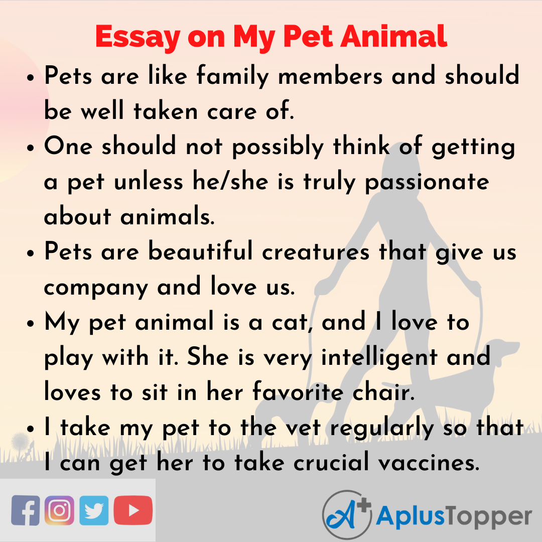 Essay about My Pet Animal