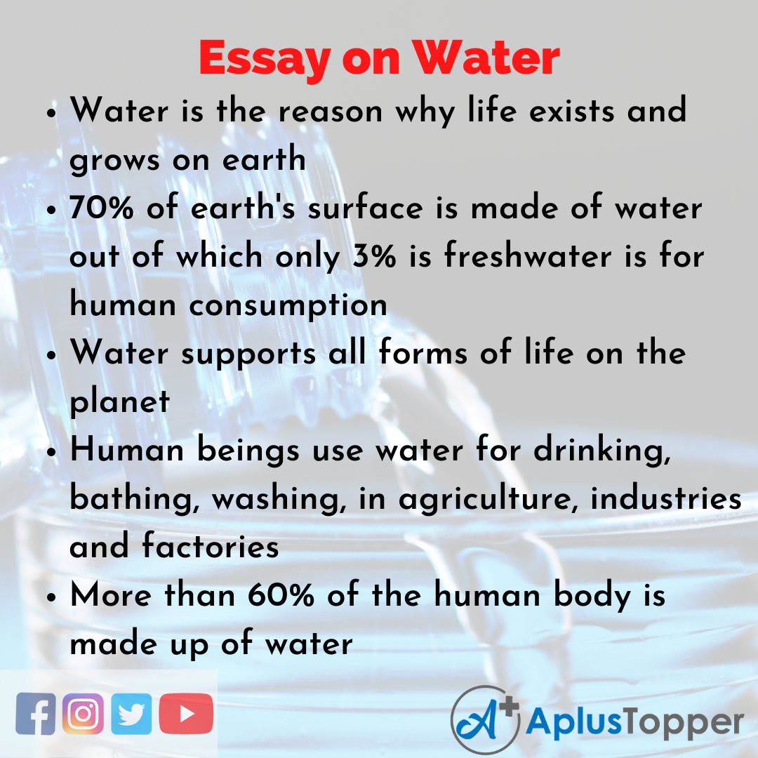 Essay about Water