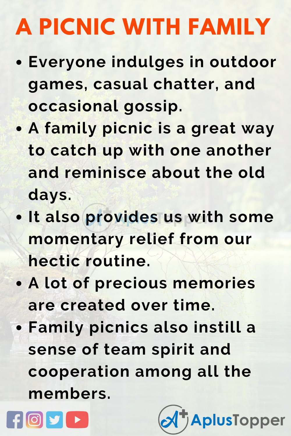 Essay about a Picnic with Family