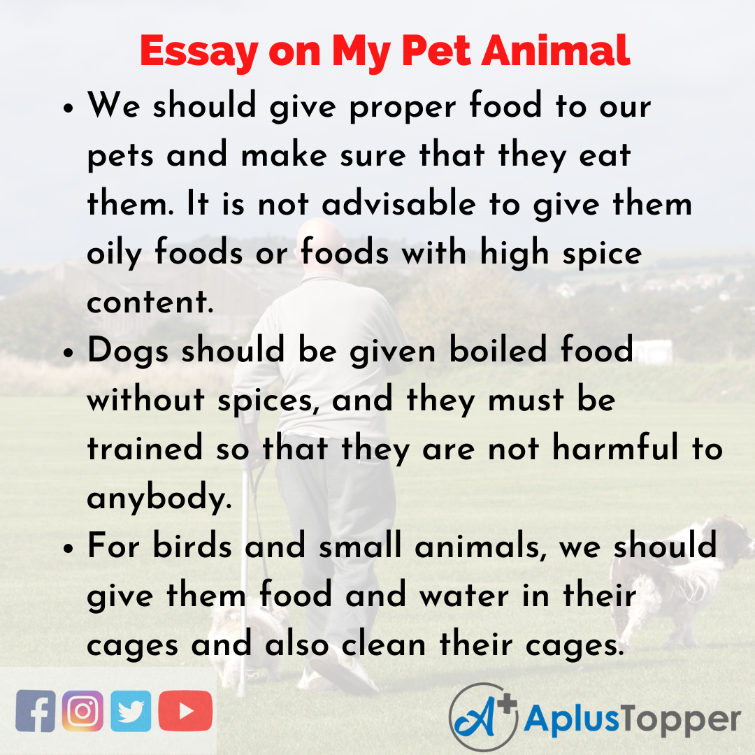 Essay for My Pet Animal