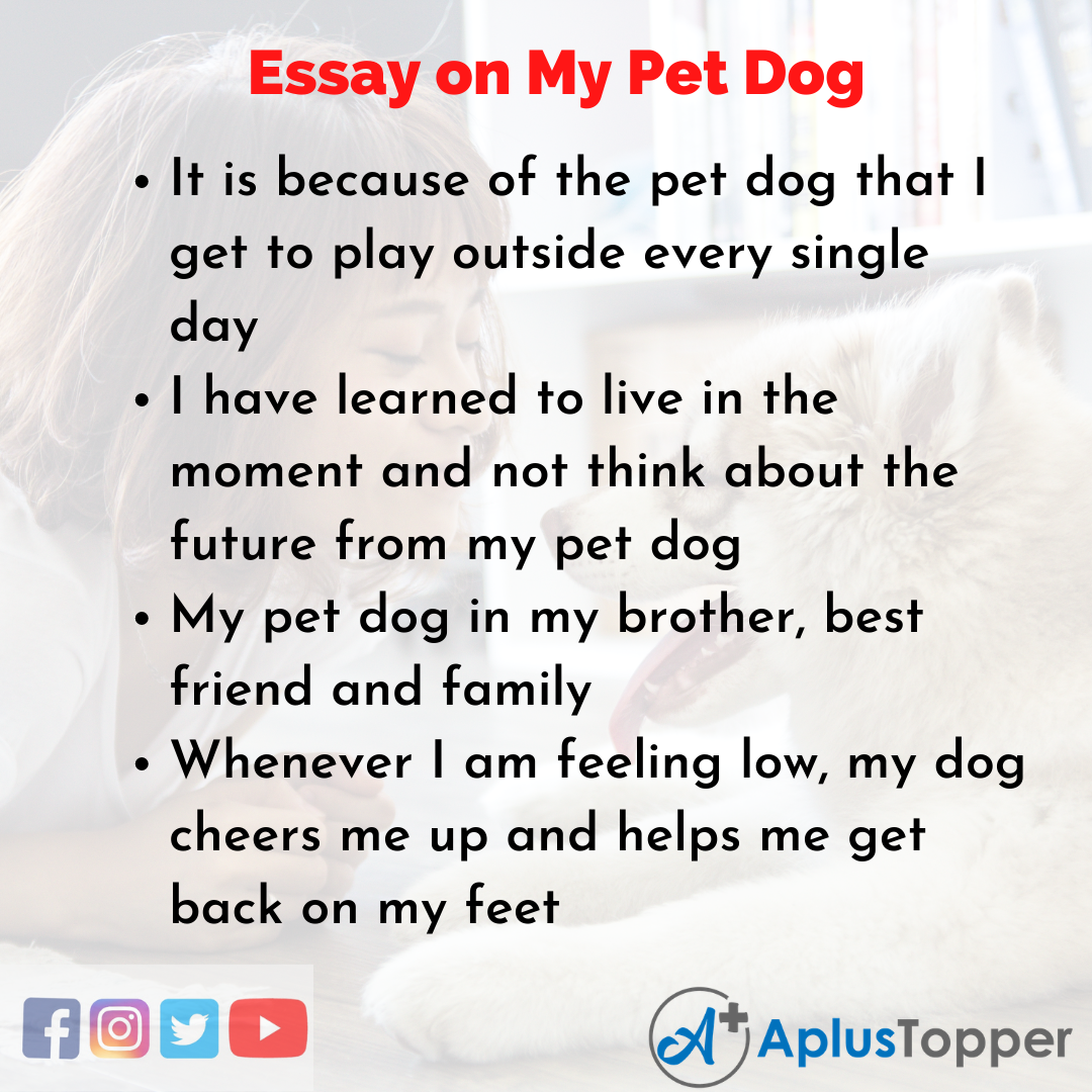 Essay for My Pet Dog