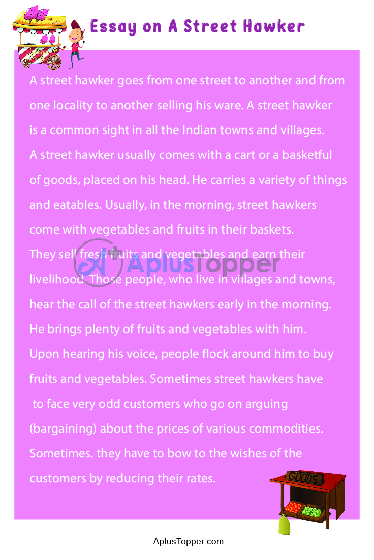 Essay on A Street Hawker