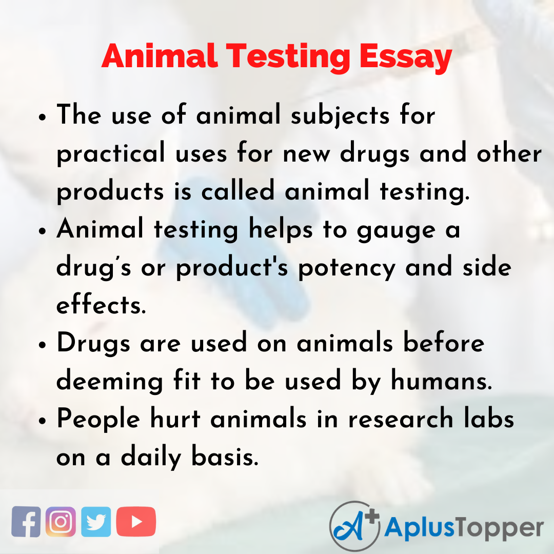 Essay on Animal Testing