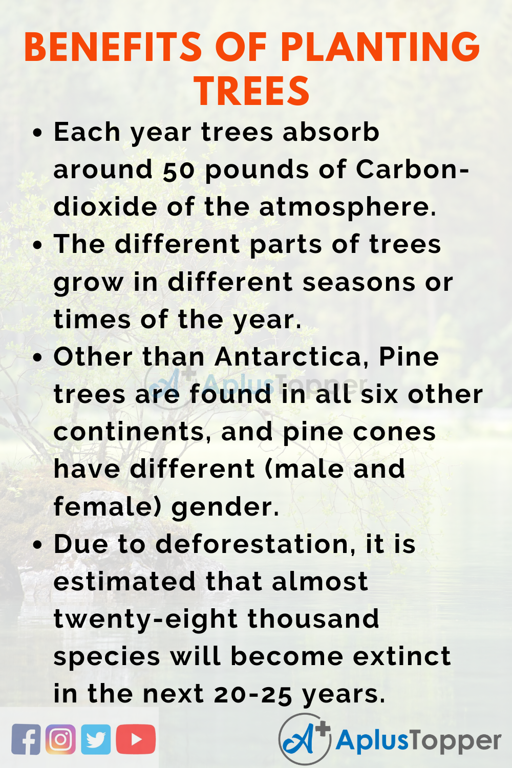 Essay on Benefits of Planting Trees